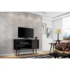 Liberty Mid-Century Modern 2 Shelves And 1 Door TV Stand For TVs Up To 46" - Manhattan Comfort
