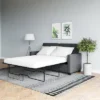 Queen Cassidy Sofa Sleeper Gray Velvet - Room & Joy -HOMCOM Shop GUEST 8e23cb89 96c8 4c9a 8179 ef6a3cdb1a8f