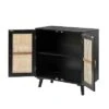 Wyoming 2-Door Accent Cabinet With Shelves| KARAT HOME